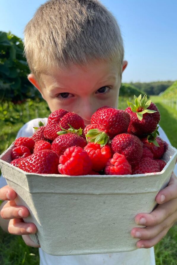 A child showing his punnet which is bursting with strawberries and raspberries to the camera